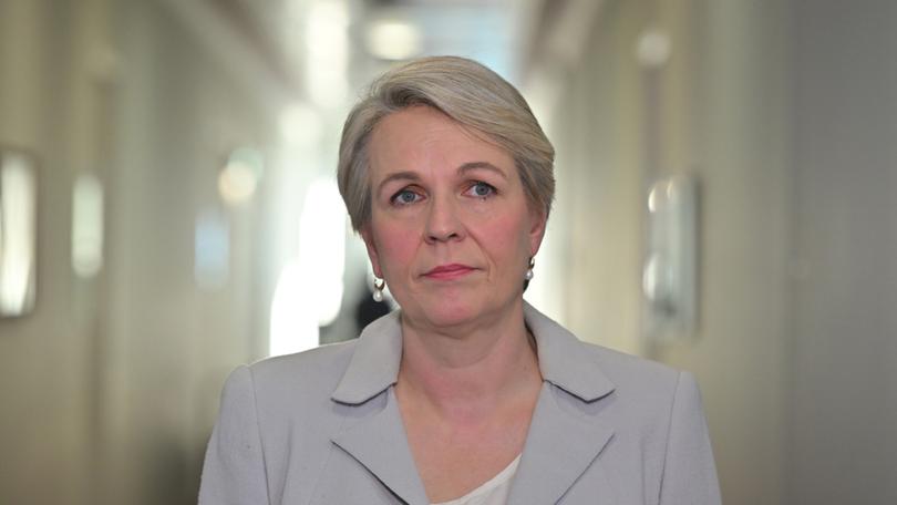 Minister for Environment Tanya Plibersek has approved Australia’s biggest solar farm days after blocking a $1b gold mine.