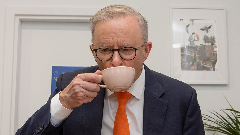 Anthony Albanese visits Nathaniel’s Coffee and Panini with Premier Peter Malinauskas and Labor Candidate for Sturt Claire Clutterham in Adelaide on Tuesday.