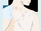 AI can quickly sort through thousands of images. 